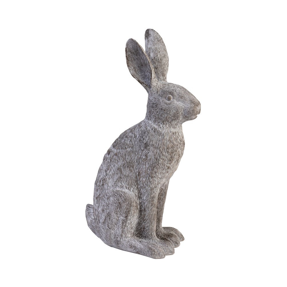 Hare Sitting Small